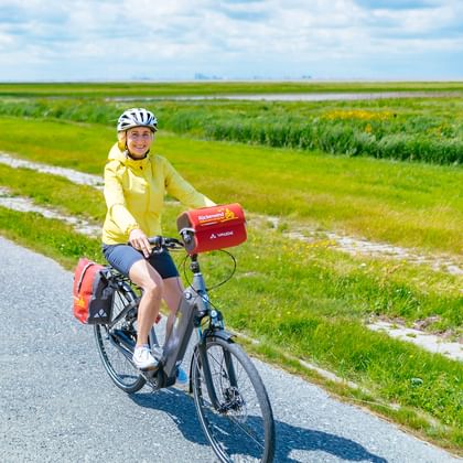 Radfahrerin in gelber Jacke mit Helm auf Tourenrad mit Packtaschen, fährt auf Straße durch grüne ostfriesische Marschlandschaft.