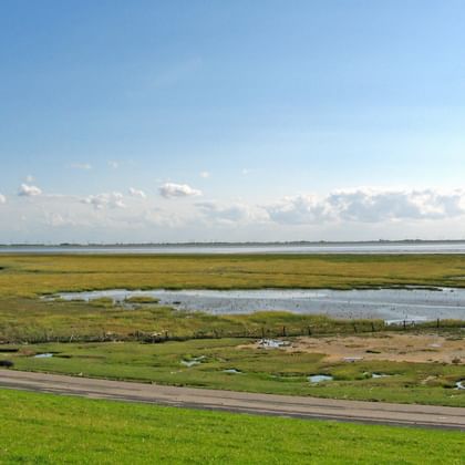 Bike Tour Eastern Frisia