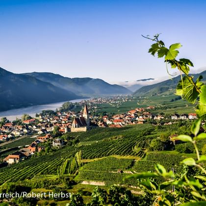 Blick auf das Dorf Weißenkirchen in der Wachau mit Kirchturm, terrassierten Weingärten und der Donau im Tal zwischen Bergen.