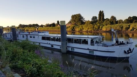 Weißes Flusskreuzfahrtschiff MS Fluvius am grünen Flussufer bei Sonnenuntergang. Bäume und Vegetation säumen das gegenüberliegende Ufer.