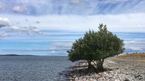 Radurlaub Gotland