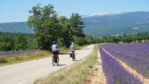 Radreisen Lavendel Provence