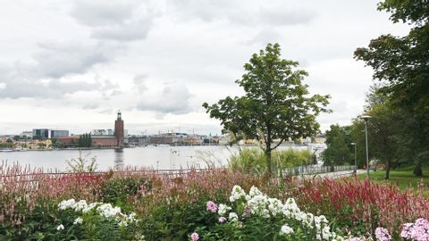 Velo Stockholm
