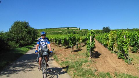 Bike Tour Pfalz