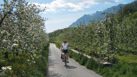 Radreise Brixen