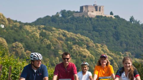 Bike Tours Pfalz