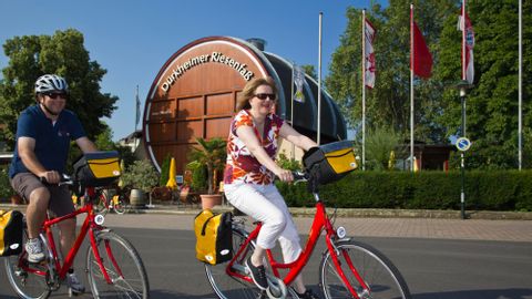 Bike Tour Pfalz
