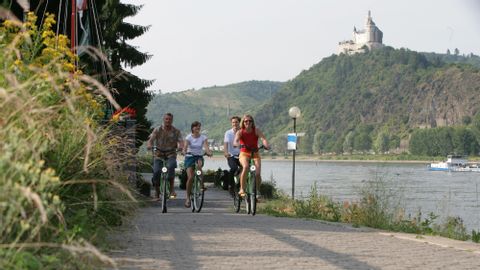 Bike Tour Rhine