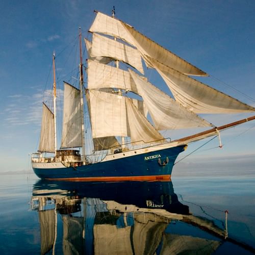 Das Segelschiff Antigua mit weißen Segeln gleitet über spiegelglattes blaues Wasser unter klarem Himmel und erzeugt eine perfekte Spiegelung.