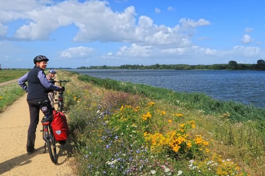 Radfahrer mit roten Taschen auf Weg am IJsselmeer. Bunte Wildblumen blühen am Ufer unter blauem Himmel mit weißen Wolken.