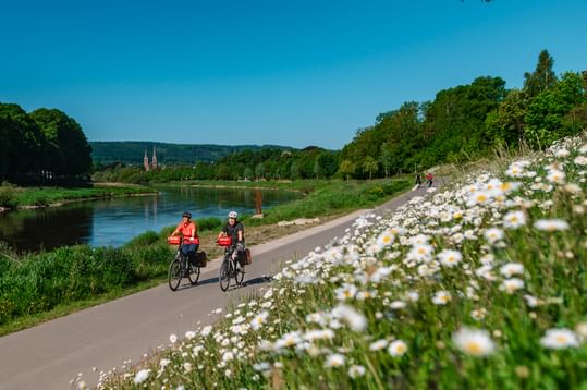 Zwei Radfahrer auf befestigtem Weg entlang der Weser bei Höxter. Weiße Gänseblümchen blühen im Vordergrund, Kirchtürme in der Ferne.
