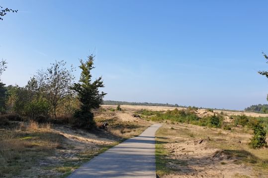 Veluwe Sternfahrt Radurlaub