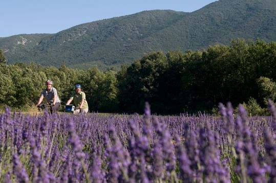 Fahrradurlaub Provence