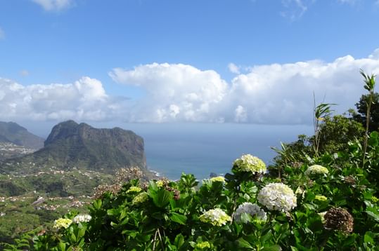 Fahrradreise Madeira