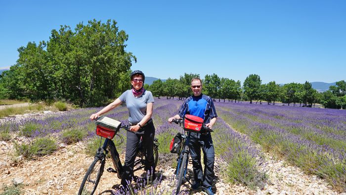 Reisebericht Radreisen Provence