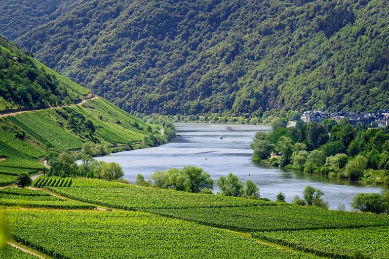 Mosel Landschaft