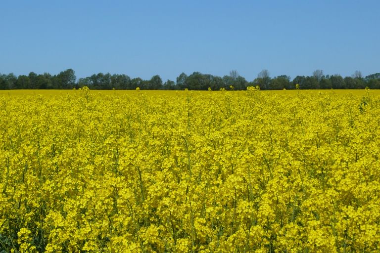 Radurlaub Müritz Sternfahrt