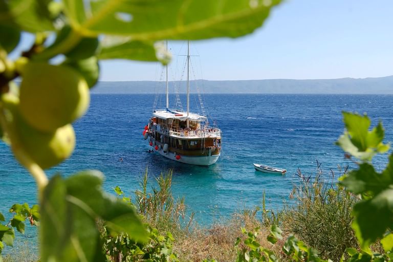Sailing ship Aneta