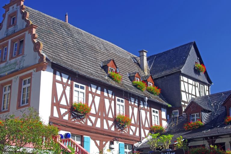 Bike Tour Rhine