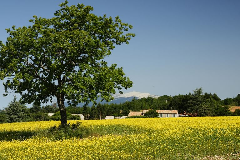 Radreise Provence