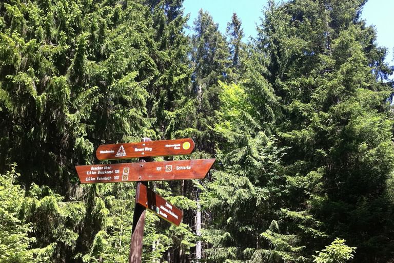 Radurlaub Harz