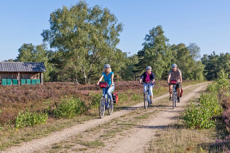 Bike Tour Lüneburger Heide
