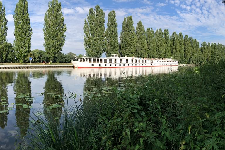 Weißes Flusskreuzfahrtschiff MS Florentina am ruhigen Kanal mit hohen Pappeln im Hintergrund und grüner Vegetation im Vordergrund.