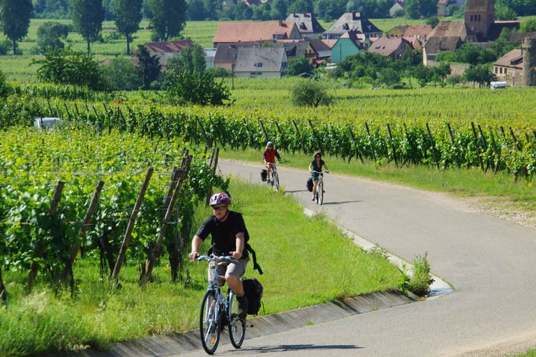 Radreise Elsass