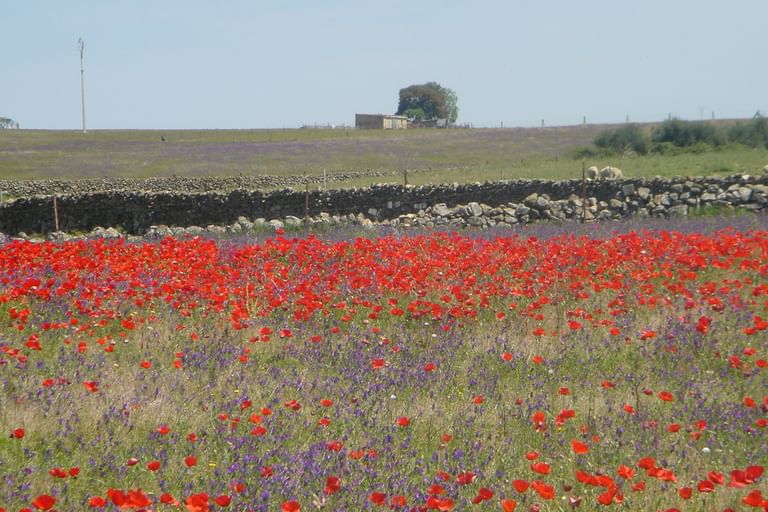 Radurlaub Extremadura