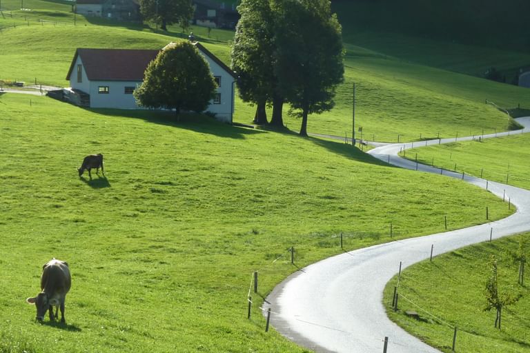 Radreisen Schweiz