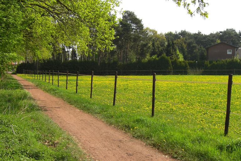 Radreisen Muensterland