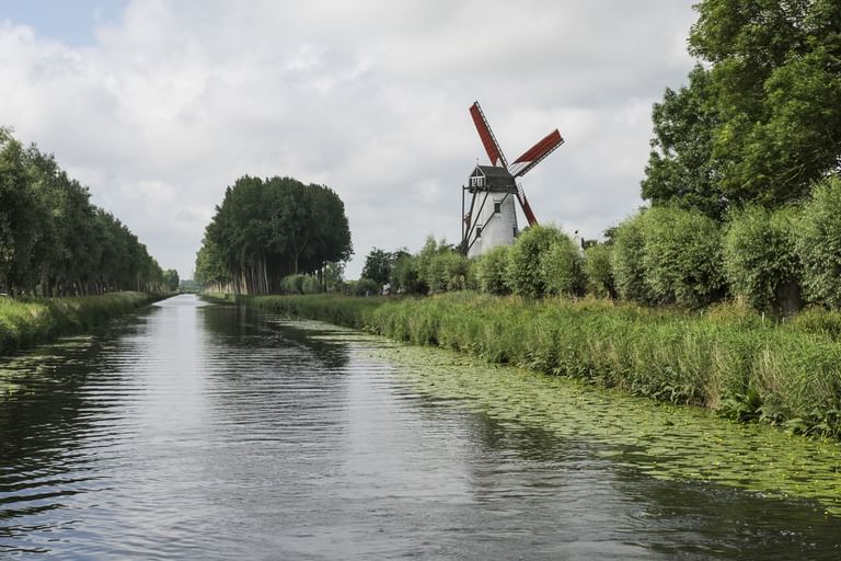 Weiße Windmühle mit roten Flügeln neben einem von Bäumen gesäumten Kanal in Belgien. Grüne Vegetation wächst am Ufer unter bewölktem Himmel.