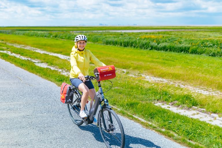 Radfahrerin in gelber Jacke mit Helm auf Tourenrad mit Packtaschen, fährt auf Straße durch grüne ostfriesische Marschlandschaft.