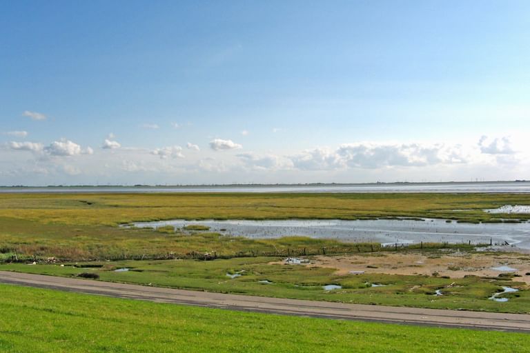 Bike Tour Eastern Frisia