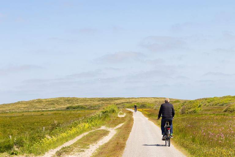 Radfahrer auf asphaltiertem Weg durch grüne Dünenlandschaft auf Terschelling mit sanften Hügeln und bewölktem Himmel im Hintergrund.