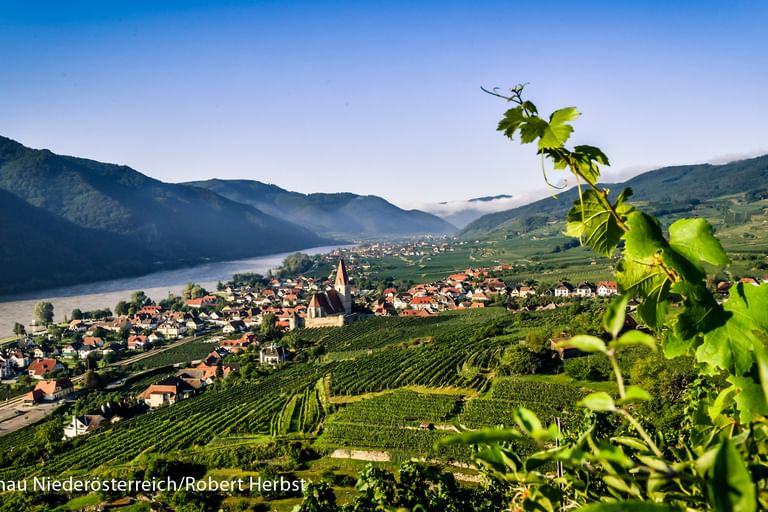 Blick auf das Dorf Weißenkirchen in der Wachau mit Kirchturm, terrassierten Weingärten und der Donau im Tal zwischen Bergen.
