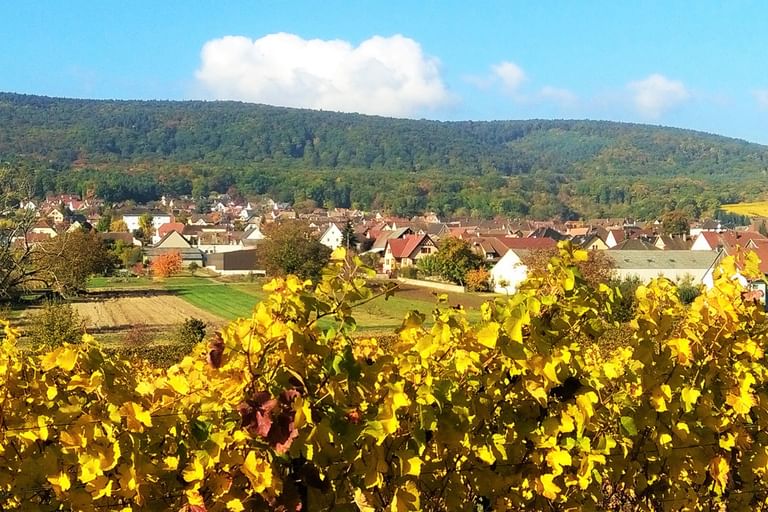 Radreise Elsass